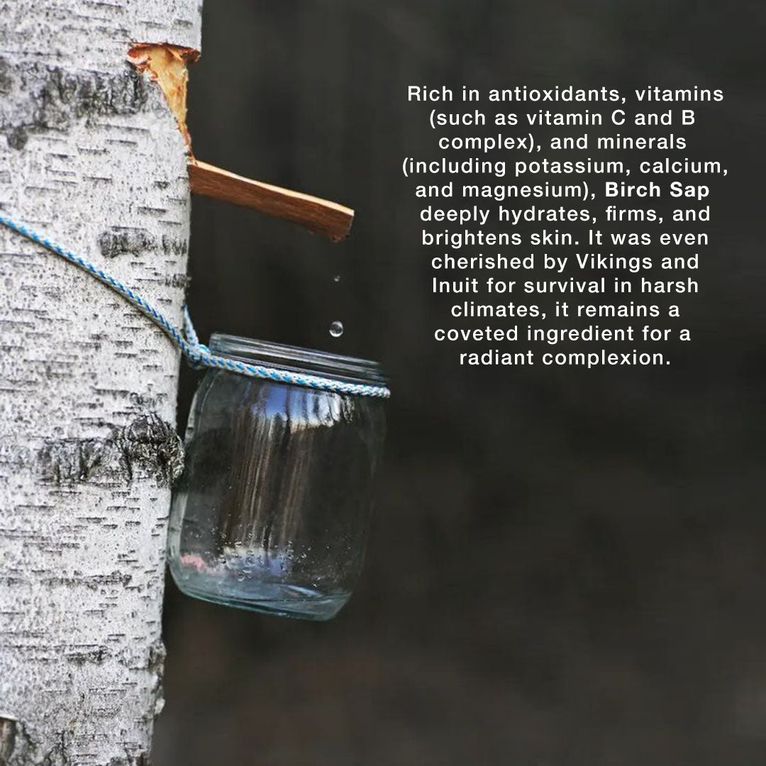 BIRCH SAP FACIAL CLEANSER